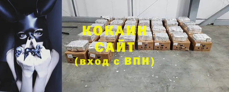 купить закладку  Кунгур  COCAIN Эквадор 