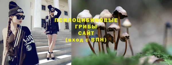 твердый Лабытнанги