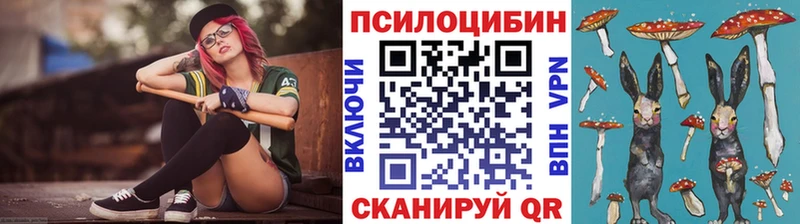 omg маркетплейс  закладки  Кунгур  Псилоцибиновые грибы GOLDEN TEACHER 