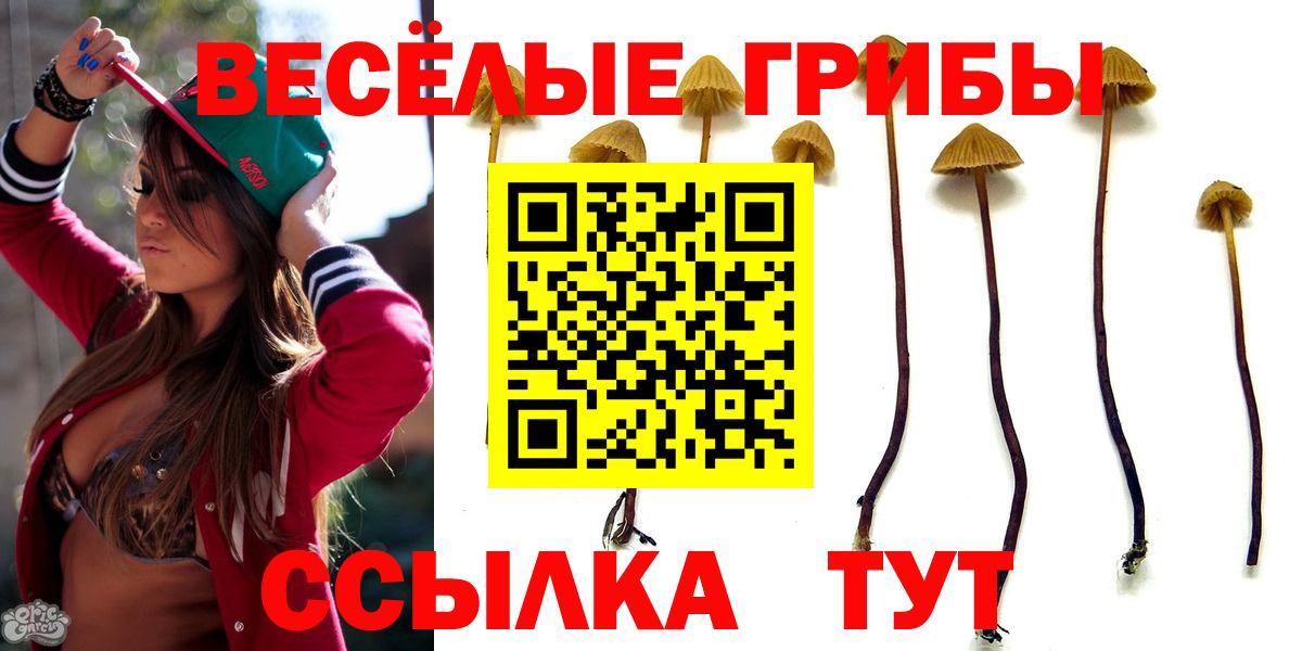 Псилоцибиновые грибы мухоморы  Кунгур 