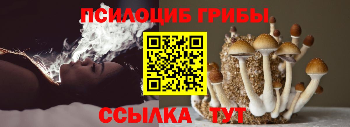 Псилоцибиновые грибы GOLDEN TEACHER Кунгур