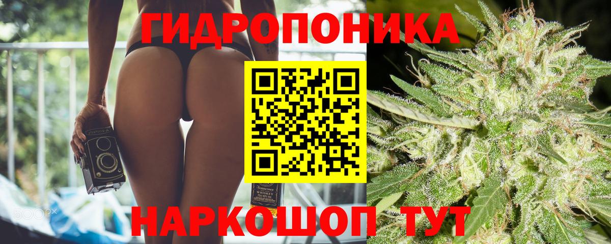 Бошки марихуана AK-47  Бошки марихуана план  Кунгур  Вход с VPN  Бошки Шишки семена  Марихуана сатива 